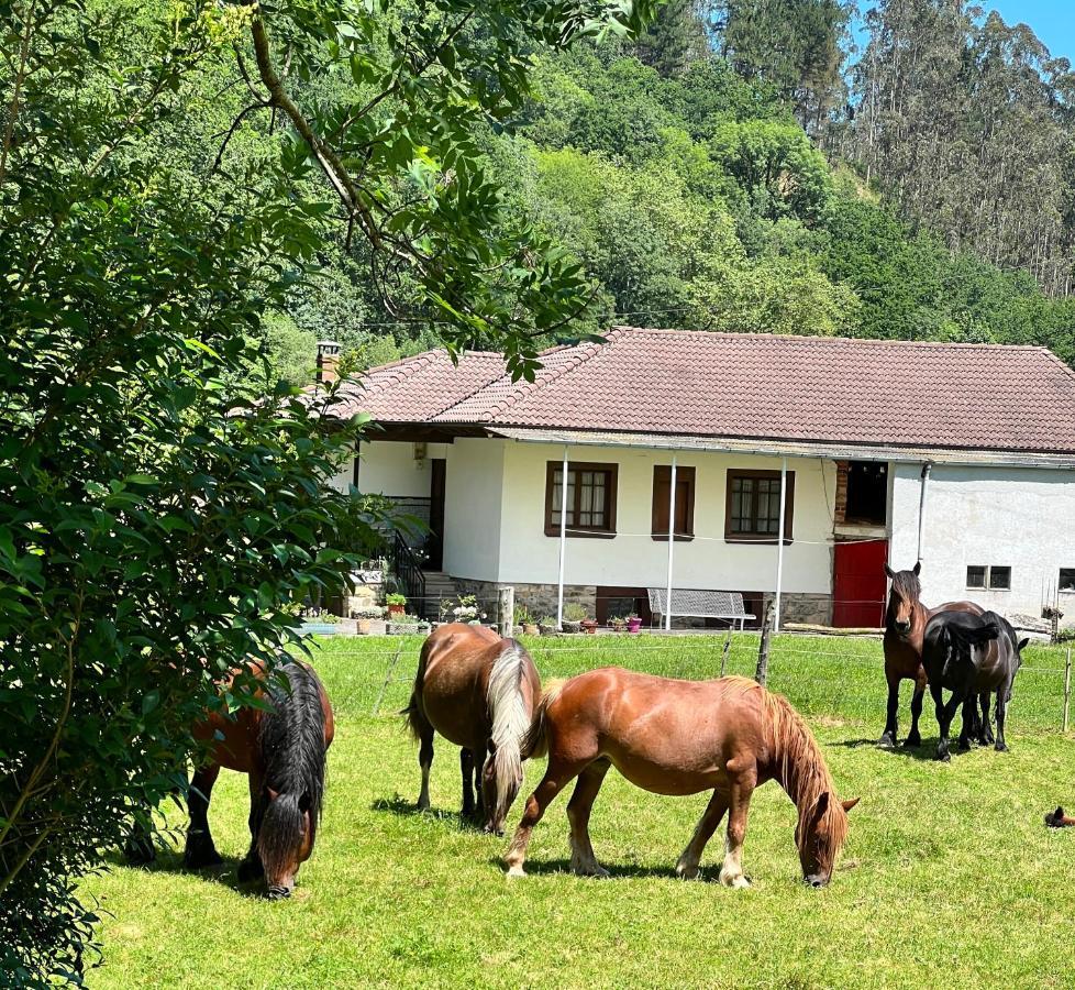 Vila La Casita De Olivia Espinaredo La Villa Exteriér fotografie
