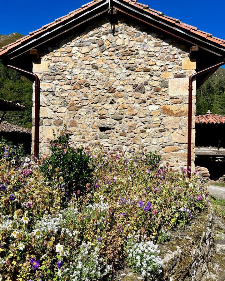Vila La Casita De Olivia Espinaredo La Villa Exteriér fotografie